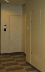 Люк под покраску Техно Люк под покраску Техно